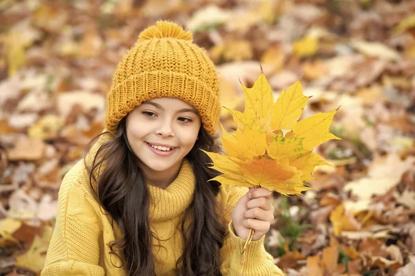 Móda Podzimního Období Portrét Dospívající Dívky Klobouku Drží Podzimní List — Stock fotografie