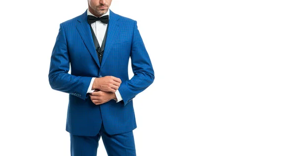 Cropped Man Blue Suit Bow Tie Businessman Isolated White Backdrop — Zdjęcie stockowe