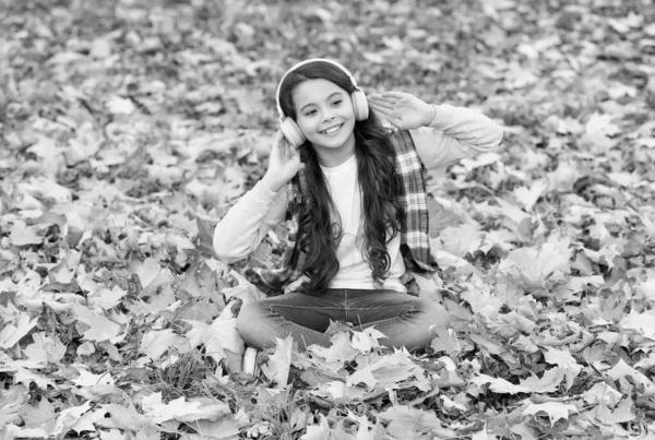 Niño Feliz Estilo Casual Pasar Tiempo Bosque Otoño Con Hojas — Foto de Stock