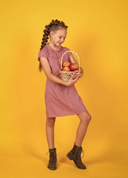 Kırmızı Elma Meyveli Mutlu Genç Kız Hasat — Stok fotoğraf