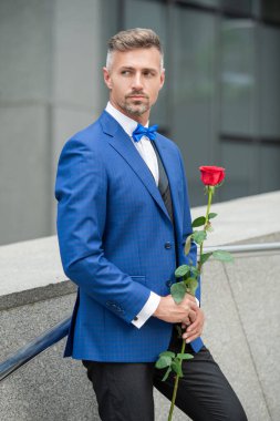 proposal concept. grizzle tuxedo man preparing for a proposal. man before marriage proposal.