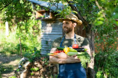 man in straw hat hold fresh ripe vegetables. veggies.