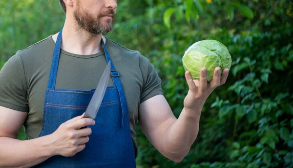 Cropped View Man Greengrocer Cut Cabbage Knife — Stockfoto