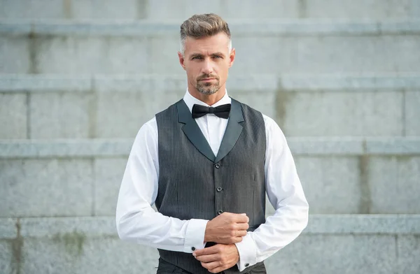 Elegant Businessman Bowtie Grizzled Businessman Formalwear Businessman Suit — Stock Photo, Image