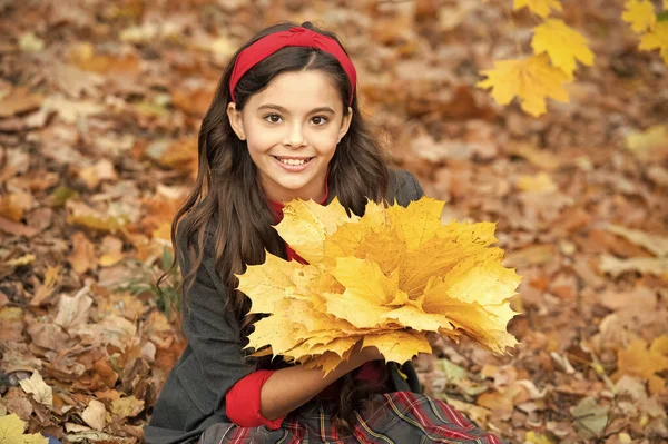 童年的快乐自然美 秋天流行 穿着校服的少女拿着秋叶束 快乐的孩子在户外与枫叶玩耍 秋季自然 — 图库照片