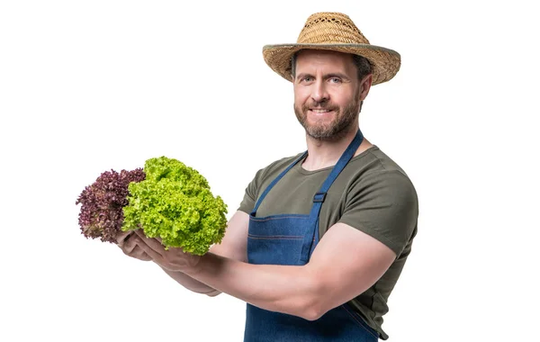 Rural Worker Apron Hat Lettuce Vegetable Isolated White — Zdjęcie stockowe
