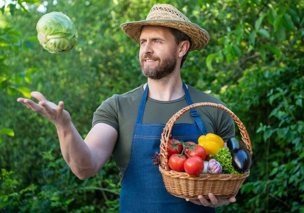 Agricultural Worker Straw Hat Hold Basket Full Vegetables — Stockfoto