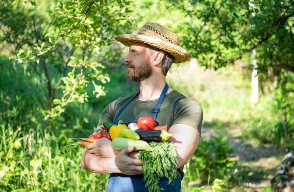 Man Straw Hat Hold Fresh Healthy Vegetables — Zdjęcie stockowe