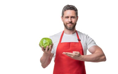 man in apron presenting cabbage vegetable isolated on white.