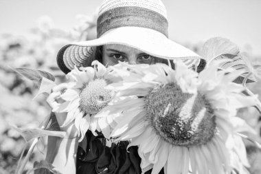 Küçük kız kırsal tarzda ayçiçeklerinin arkasına saklanıyor, saklambaç oynuyor..