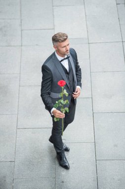 elegant man in tuxedo. man wearing bowtie suit outdoor. hoary tuxedo man with red rose.