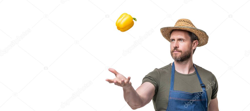 gardener in apron and hat with sweet pepper vegetable isolated on white.