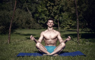 Adam sağlıklı vücut ile meditasyon yoga mat yaz Park. Yoga, meditasyon, rahatla, zen, meditasyon, çakra, lotus, barış.
