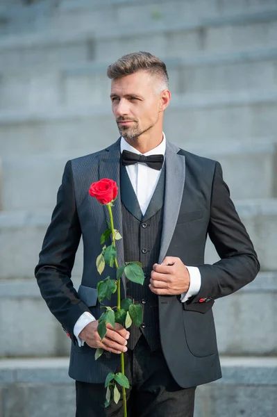 Special Occasion Concept Elegant Man Rose Special Occasion Man Special — 图库照片