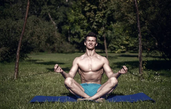 Человек Здоровым Телом Медитирует Коврике Йоги Летнем Парке Йога Расслабься — стоковое фото