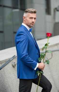 valentines day concept. mature tuxedo man with valentines rose. flower gift for valentines day.
