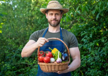 greengrocer in straw hat hold basket full of vegetables.