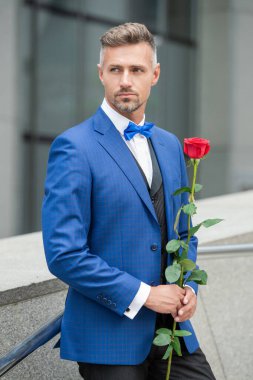 valentines day concept. grizzled tuxedo man with valentines rose. flower gift for valentines day.