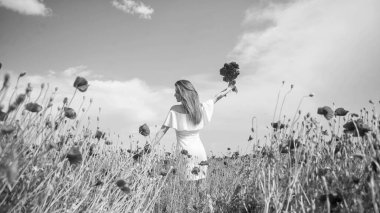 Bir buket kırmızı çiçekli mutlu kız. Yaz tatili ve tatil. Gelincik tarlasında yürüyen beyaz elbiseli güzel bir kadın. Meadow 'da gelin. Romantik ruh hali. Bahar doğasının güzelliği.