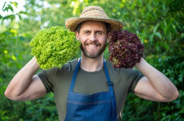 man greengrocer in straw hat with lettuce leaves. vegetarian.