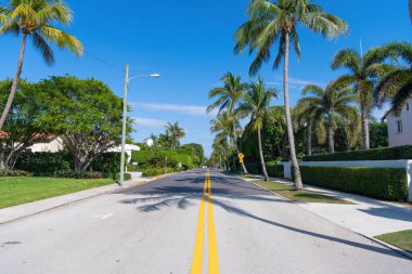empty road with marking lines and palm trees on avenue.