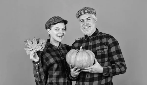 Thanksgiving Day with pumpkin. Vintage family couple. food and harvest. happy man and woman checkered shirt and hat. Give Thanks with maple leaf. Harvest time. Yellow ripe pumpkin.