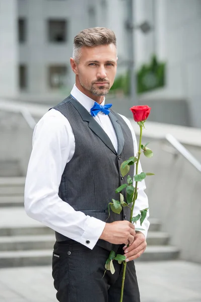 valentines day concept. tuxedo man with valentines red rose. flower gift for valentines day.