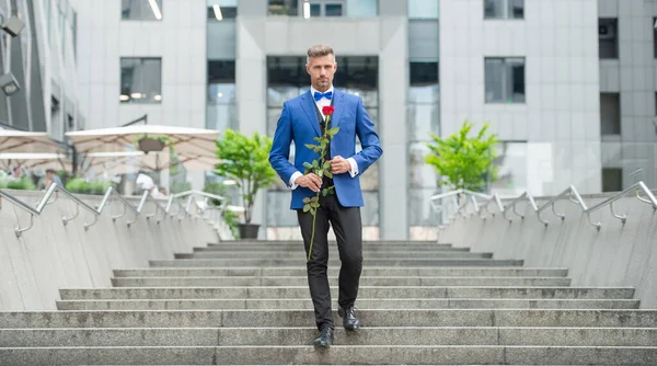 Elegant Man Tux Man Wearing Tux Bowtie Outdoor Romantic Tux — Stock fotografie
