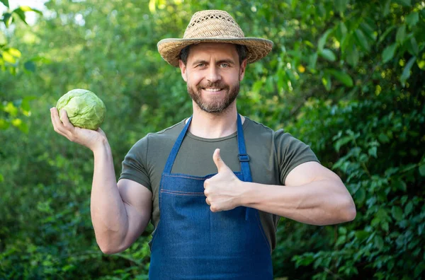 Man Greengrocer Straw Hat Cabbage Vegetable Thumb — Foto Stock