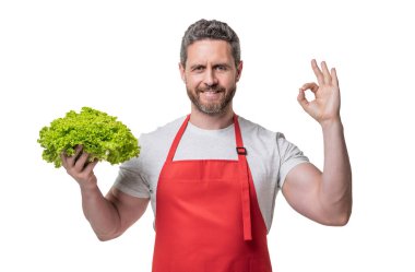 man in apron with lettuce vegetable isolated on white. ok.