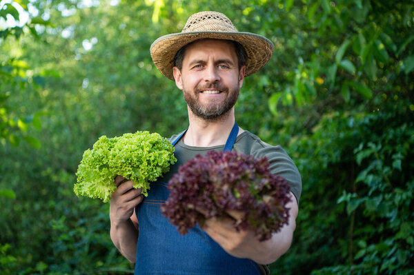 man greengrocer in straw hat with lettuce leaves. selective focus.