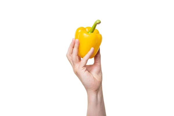 Sweet Pepper Vegetable Hand Isolated White Background Greengrocery — Foto de Stock