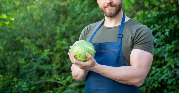 Cropped View Man Greengrocer Cabbage Vegetable Copy Space — Stockfoto