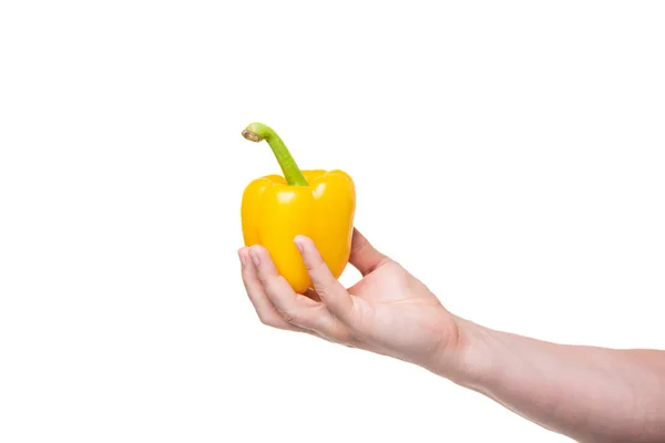 Yellow Sweet Pepper Vegetable Hand Isolated White Background — Foto de Stock