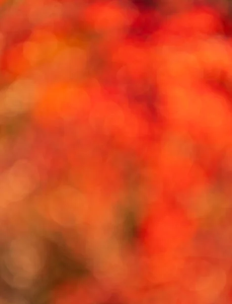 Blurred Orange Bokeh Backdrop Orange Color Blurred Backdrop Orange Blurred — Φωτογραφία Αρχείου