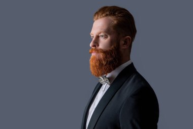 Profile portrait of bearded man. Irish man with unshaven face. Handsome man wearing long beard studio isolated on grey, copy space.