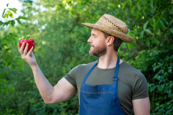 Farmer Villager Straw Hat Sweet Pepper — Zdjęcie stockowe