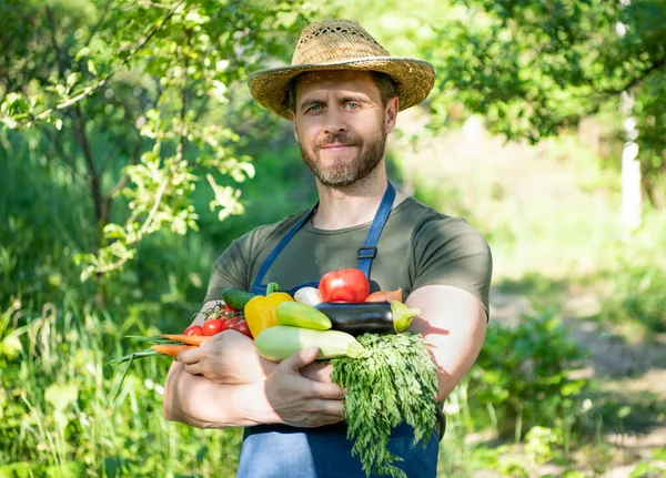 Rural Worker Straw Hat Hold Fresh Ripe Vegetables — Zdjęcie stockowe