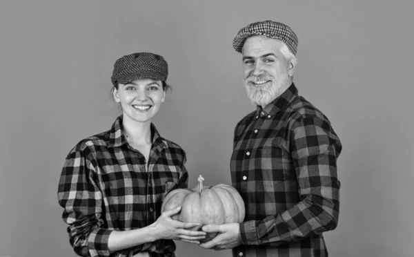 Farmers market. Autumn harvesting works. Work at fields. Harvest festival. Autumn mood. Couple in love checkered rustic outfit hold pumpkin. Autumn routines. Farmer family concept. Harvesting season.