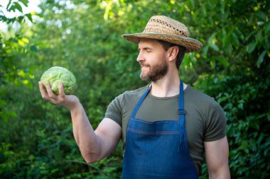 Hasır şapkalı çiftçi köylü lahana sebzeli.