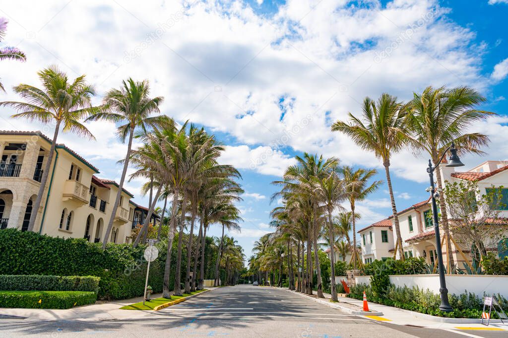 suburb residence with houses and villas in palm beach.