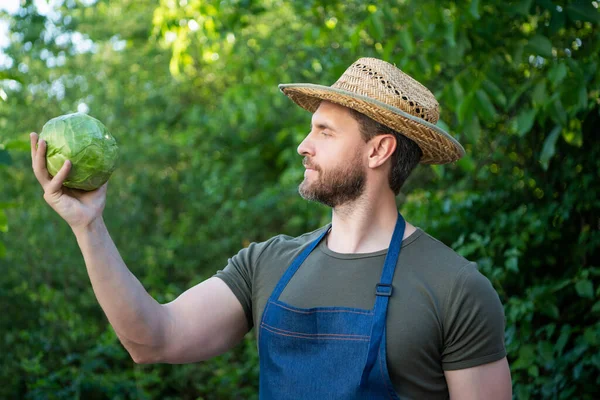 Człowiek Ogrodnik Słomkowym Kapeluszu Warzywami Kapusty — Zdjęcie stockowe