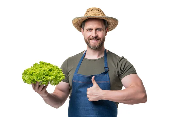 앞치마와 모자를 남자와 식물을 엄지를 — 스톡 사진