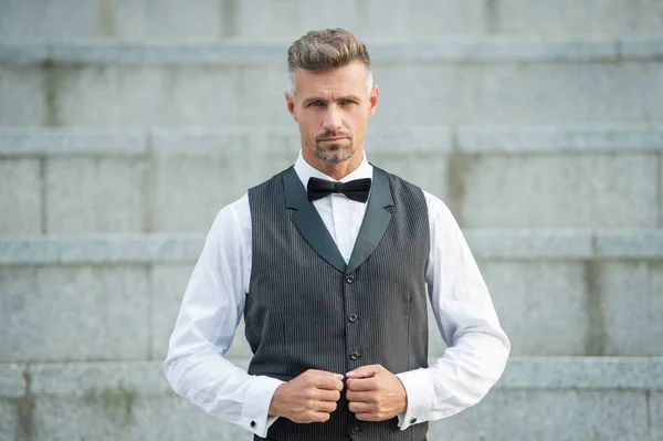 Elegant Businessman Bowtie Grizzled Businessman Formalwear Businessman Suit Male Fashion — Stock Photo, Image