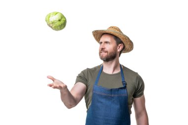 Önlüklü ve şapkalı bahçıvan. Beyaz tenli lahana sebzeli..