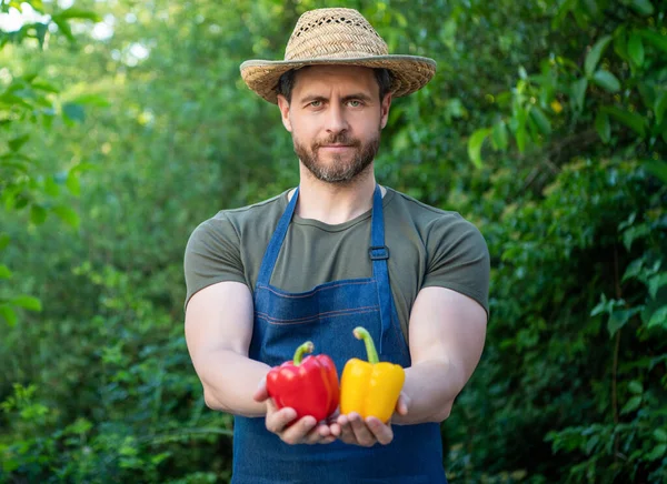 Człowiek Warzywniak Słomkowym Kapeluszu Papryką Żywność Ekologiczna — Zdjęcie stockowe