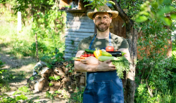 Hombre Sombrero Paja Mantenga Verduras Frescas Maduras Alimentos Naturales — Foto de Stock
