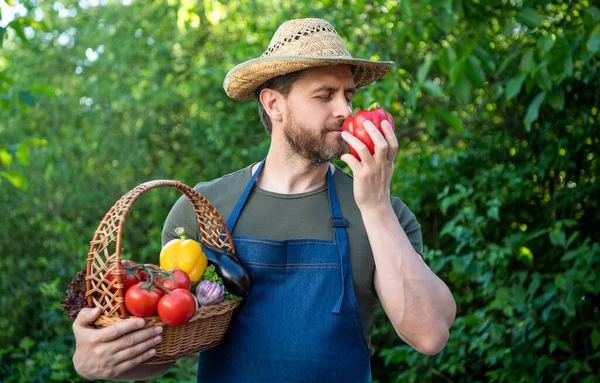 man in straw hat hold basket full of fresh vegetables.