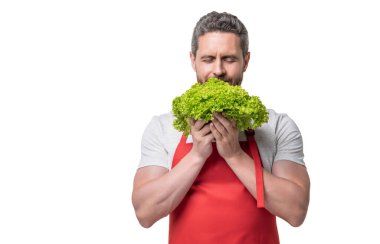 Önlüklü, salatalı, beyaz sebzeli bir adam. Boşluğu kopyala.