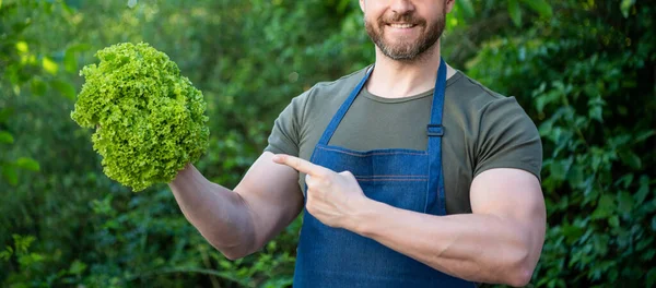 cropped view of man greengrocer point finger on lettuce leaves.